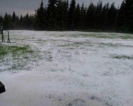 Обявиха нов код за градушка и опасно време в Пловдив и още 10 области КАРТА