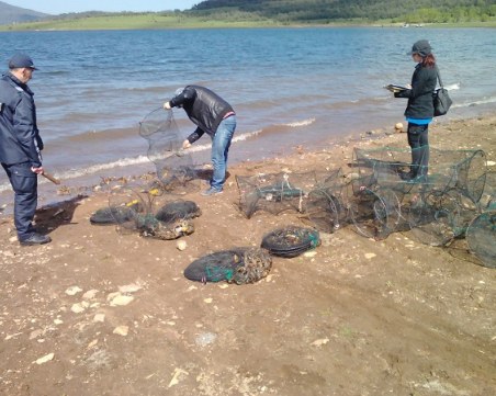 Пипнаха бракониери, плячкосали над 2000 езерни рака край Батак
