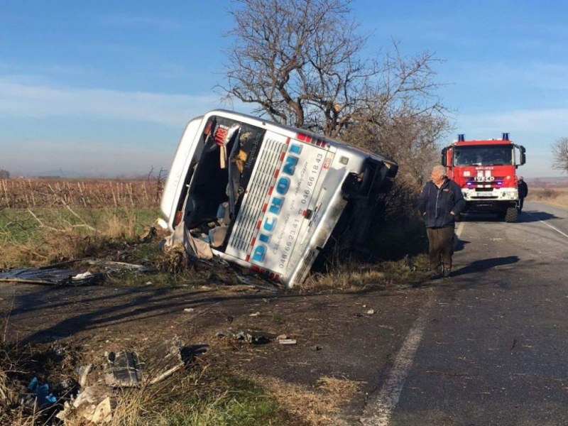 Автобус с румънци се заби в дърво