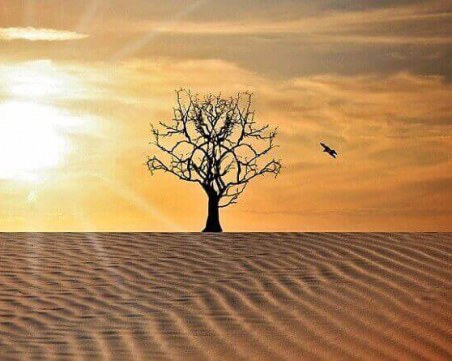 Идва ли климатът от Африка на Балканите? Очаква ни жега и мор