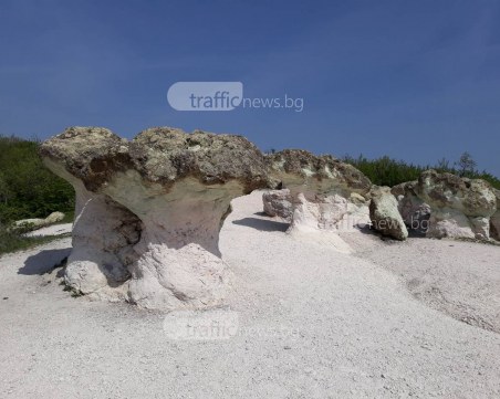 Наберете си от Каменните гъби – само на час и половина от Пловдив са! СНИМКИ