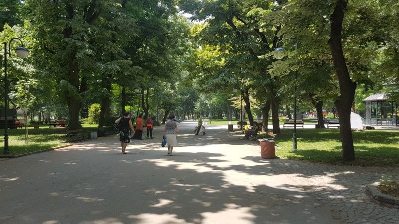 Одрусаха здраво берачи на липа в Цар-Симеоновата градина