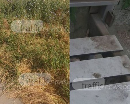 Мизерия, мръсотия, развъдник на змии и кърлежи, неизползваеми спирки - това е Кършияка! СНИМКИ