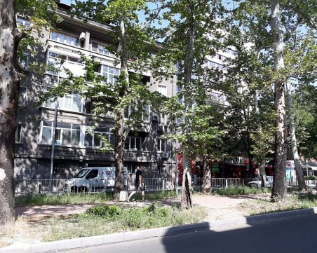 Опасен чинар заплашва пешеходци и коли на 