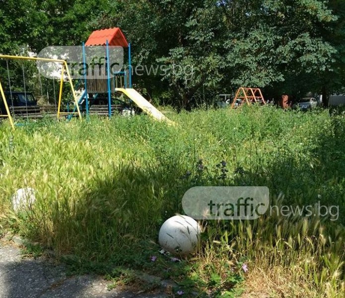 Детска площадка в Смирненски скоро ще заприлича на джунгла СНИМКИ