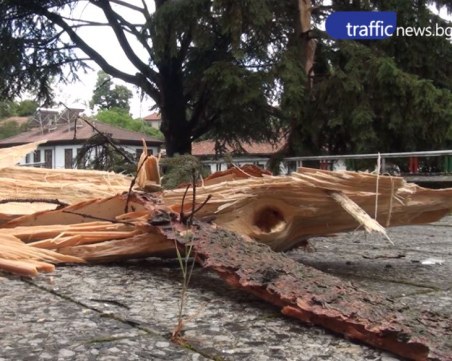 Огън излиза от контактите в Калофер след мълнията ВИДЕО
