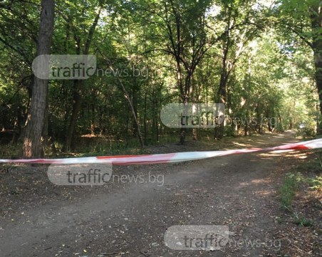 Змии налазиха парк “Лаута“