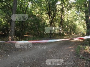 Змии налазиха парк “Лаута“