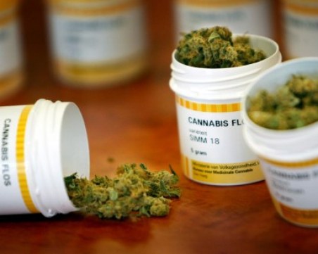 Канабисът в лекарствата вече разрешен в Португалия