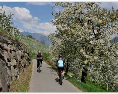 Една различна ваканция: На колело из Италия