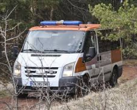 Откриха труп на 37-годишна жена край Кубрат! На метри от нея е намерен и мъж, обесен на дърво