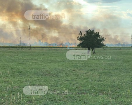 Пожар гори край Пловдив, четири пожарни се борят с огнената стихия* СНИМКИ+ВИДЕО