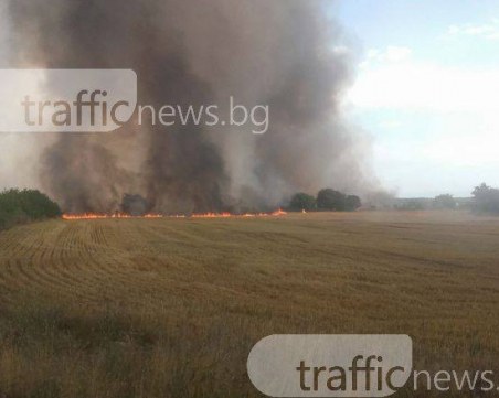 Горят 500 декара, пожарът заплашва пловдивско село СНИМКИ