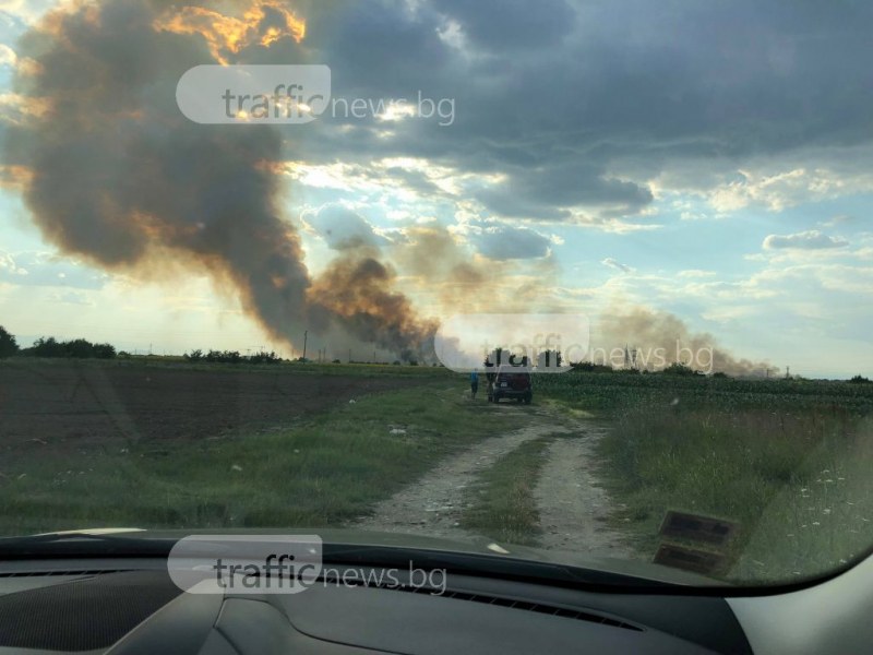 Над 200 декара жито са изгорели при пожара край Коматевско шосе
