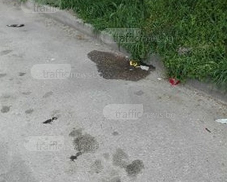 Пловдивчани питат: Докога служителите на градския транспорт ще използват градинките и алеите за тоалетни?  СНИМКИ