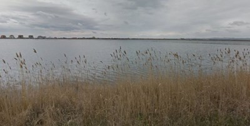 Жена с шнорхел и плавници се удави край Поморие