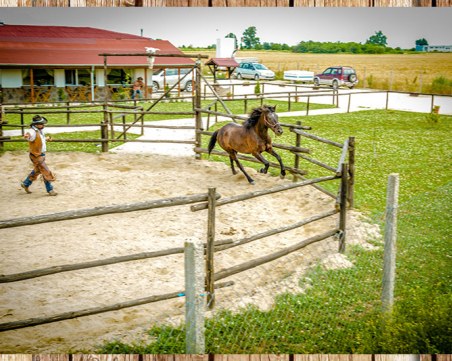 Ставаш каубой и яздиш край Марица! Продават уестърн конната база край Пловдив СНИМКИ