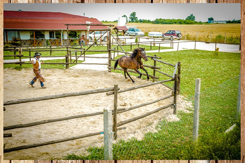 Ставаш каубой и яздиш край Марица! Продават уестърн конната база край Пловдив СНИМКИ