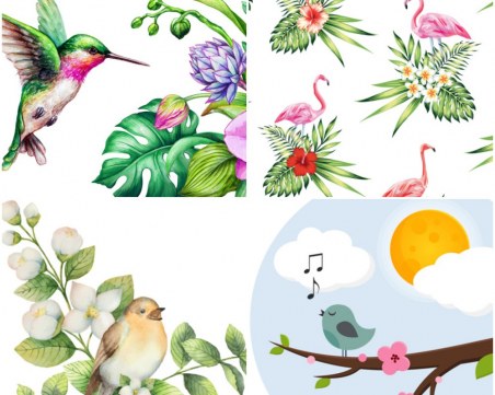 Забавен тест с птици разкрива какво ви очаква през лятото