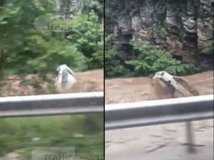 Река Чая завлече автомобил като детска играчка над Асеновград ВИДЕО