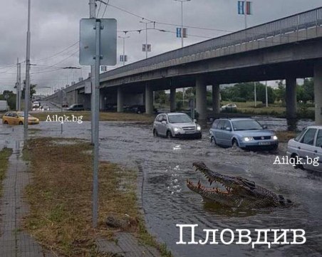 Крокодили, гондоли и хипопотами заплуваха по пловдивските улици! Прехвърча и сняг... СНИМКИ