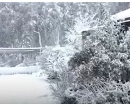 Сняг заваля в Южна Африка