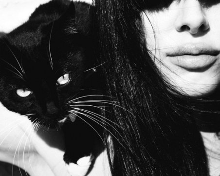 Тест: какво ще разкрие котката за вас