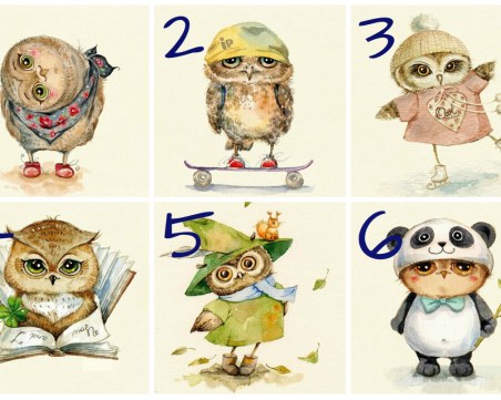 Изберете си бухал и се запознайте с любопитни факти за себе си