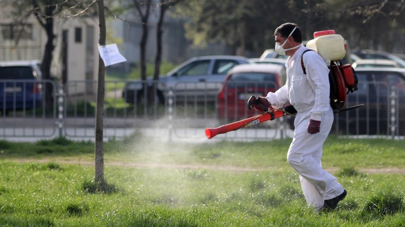 Тежката битка хора - комари в Пловдив продължава! Пръскат масово в три района