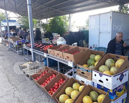 Домати, тиквички и зеле скачат двойно от борсата в Първенец до Пловдив СНИМКИ