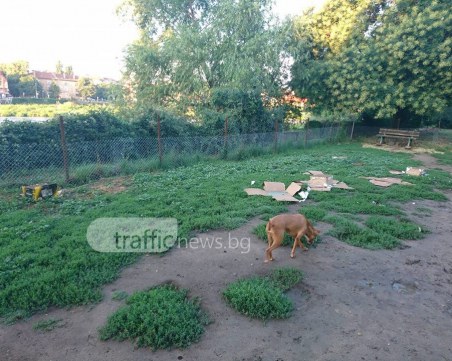 Ракети загърмяха от кучешка площадка до Новотела, за кучетата останаха отпадъците