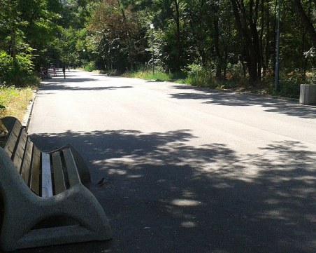 Състезание по бутане на автомобил очаква пловдивчани в парк 