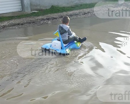 Улицата с лодките във Войсил се обогати с... жаби, превърна се в блато!