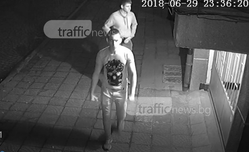 Заловиха двамата крадци на охранителни камери в Пловдив СНИМКА