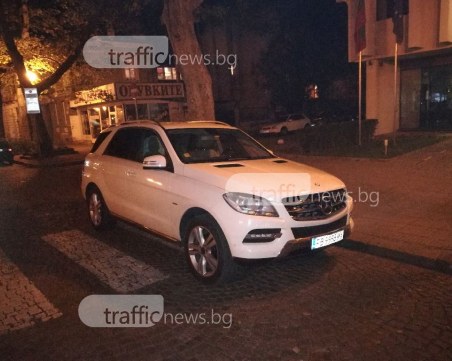 Пловдивчанин: Къде са паяците? СНИМКИ