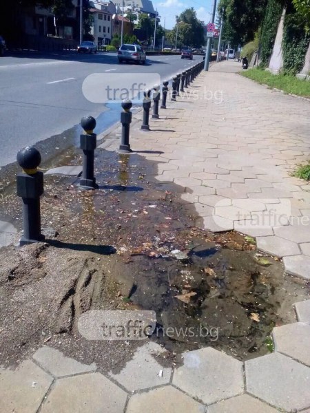 Колоездач се заби в голяма дупка на тротоар в центъра на Пловдив, замалко да излети на платното СНИМКИ