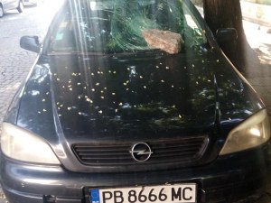 Вандали потрошиха автомобил с камък в Пловдив СНИМКИ