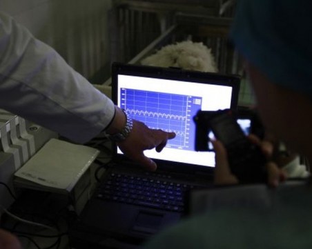 Край на опитите с животни! Компютър ще тества токсичността