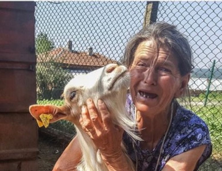 Баба Дора от Шарково: Убият ли животните, умирам и аз СНИМКА и ВИДЕО