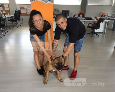 Полицай насочи пистолет в главата на пловдивчанин, заплаши го с бой и.. ВИДЕО