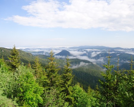 Откриха мъжа, загубил се на връх Перелик