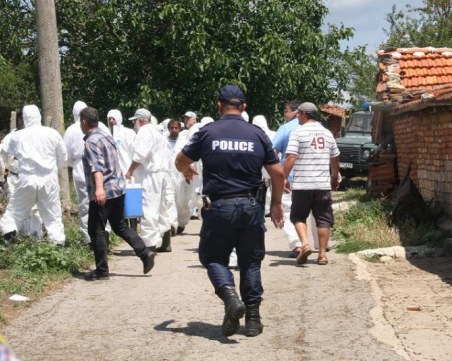 26 стопани на избити животни получиха 305 хил. лева компенсации