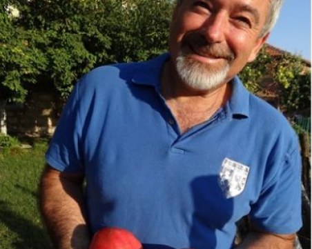 Кметът на Белозем се похвали с домати гиганти, собствено производство СНИМКИ