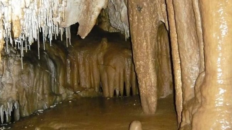 6000 са опасните пещери в България, подобни на тази с децата в Тайланд