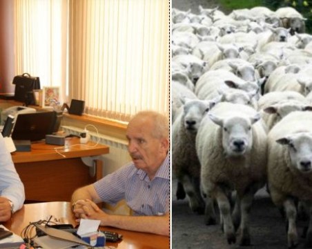 Дезинфекцират всички пътни артерии в пловдивска област заради чумата по животните