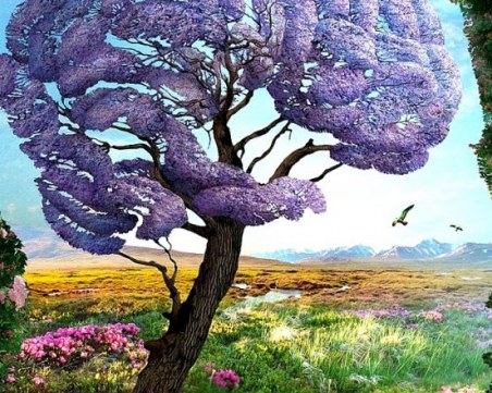 Първата фигура, която видите, разкрива най-дълбоките тайни на душата ви