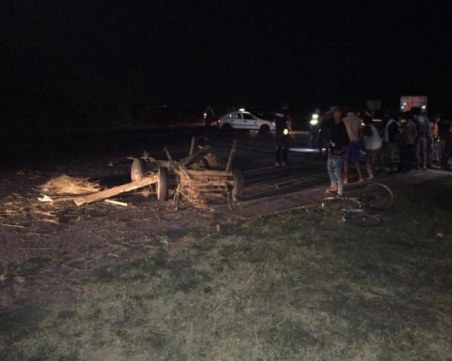 Шкода помете мъртвопияни роми с каруца на главен път