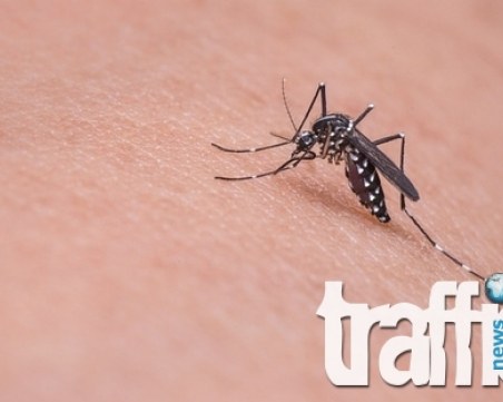 12 станаха заразените с нилски вирус в Гърция