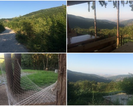 Избягайте от жегата! Само на 15 км от Пловдив – хлад и смайваща гледка СНИМКИ