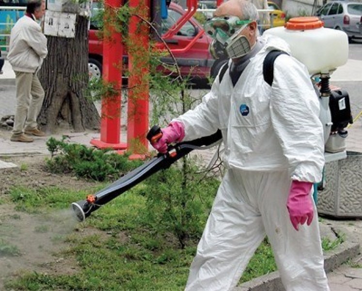 Срещу чумата: Мащабна дезинфекция в Пловдив и региона! Акцията започва днес